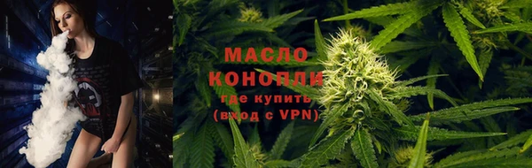 сатива Белокуриха