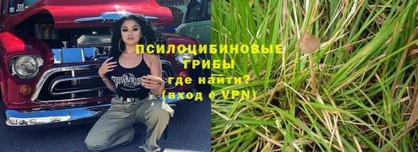 сатива Белокуриха