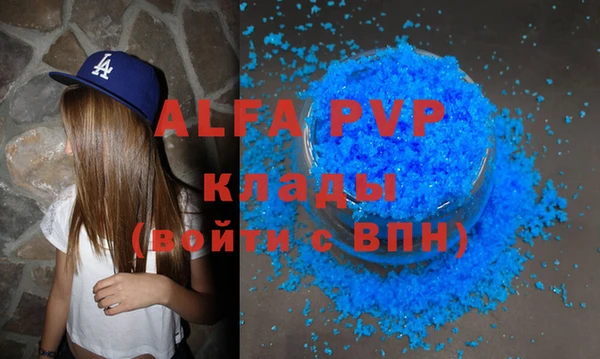 сатива Белокуриха