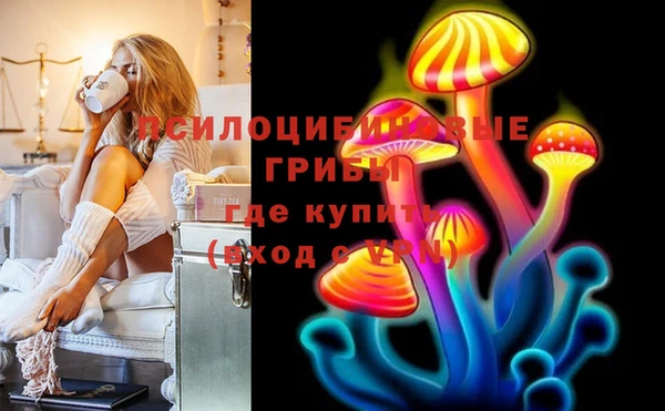 сатива Белокуриха