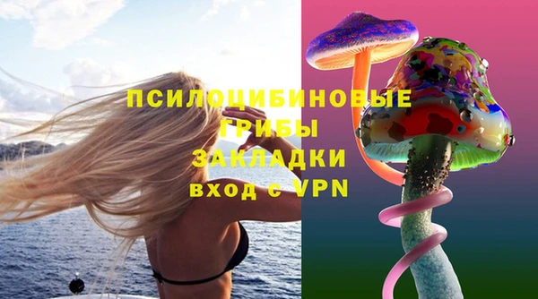 сатива Белокуриха