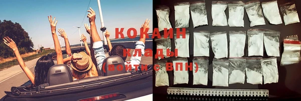 сатива Белокуриха
