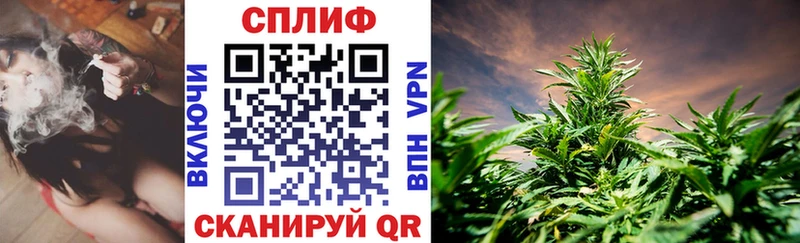 Бошки марихуана White Widow  дарнет шоп  Бутурлиновка 